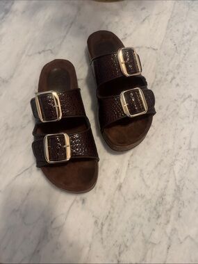 Penelope Chilvers Double Buckle Croc-Embossed Slide Sandals in Dark Brown